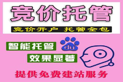 谷歌竞价广告与社交媒体结合的营销案例探讨